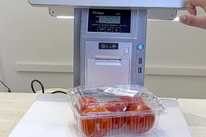 生鲜超市收银系统哪个好？生鲜超市收银系统